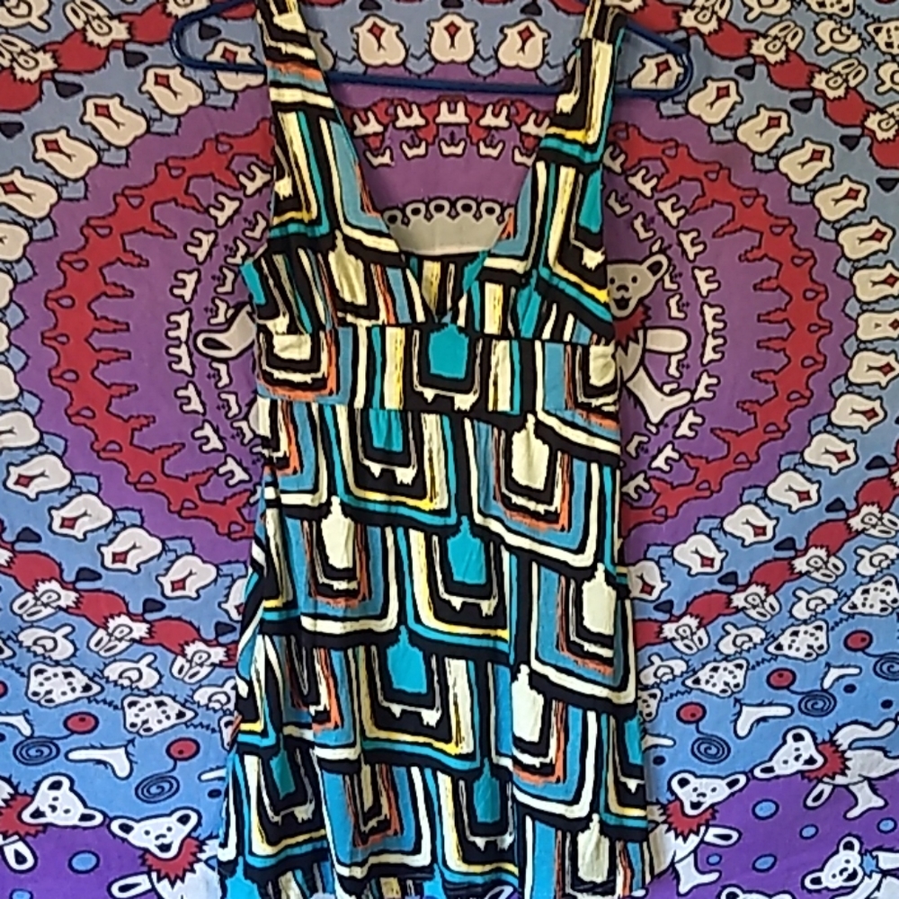 Gypsy Rose Ornate Hippie Festival Dress / Camisole
